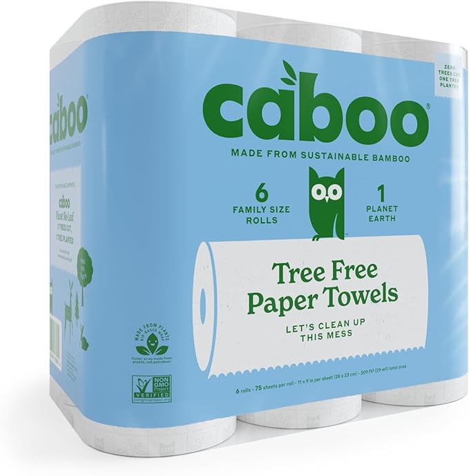 Caboo Tree Free Paper Towels, 6 Rolls, Earth Friendly Sustainable Kitchen Paper Towels with Strong 2 Ply Sheets